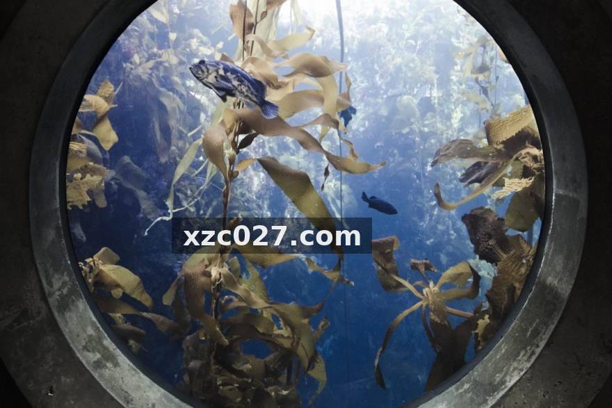 从版本前瞻到战术预判：完美电竞教你提前读懂下个赛段的阵容风向